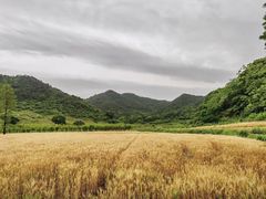 -东钱湖旅游度假区