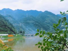 -枸杞岛