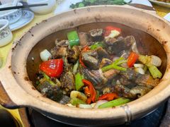 啫啫黄鳝-天宝食坊·啫啫煲大排档(西华路店)