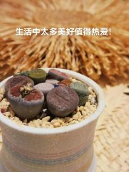 -隐逸SPA
