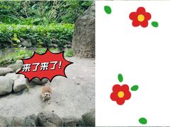 -上海野生动物园