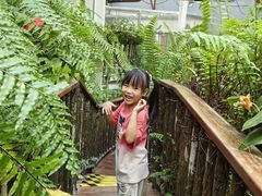 -正佳雨林生态植物园