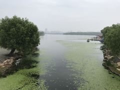 -长春市南湖公园