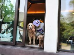 -太阳岛度假酒店