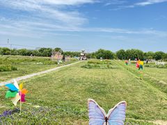 -苏州太湖西山岛开心农场