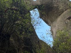 -六里坪国家森林公园
