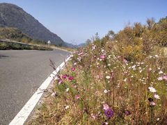 -阳台山自然风景区