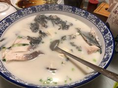 -全乐鱼馆·淳牌有机鱼直营店