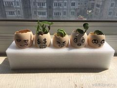 -必胜客(大观天地店)