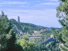 -龙口南山旅游景区