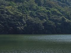 -黄埔油麻山森林公园