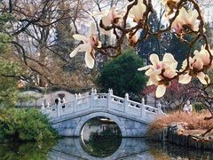 -宣武艺园