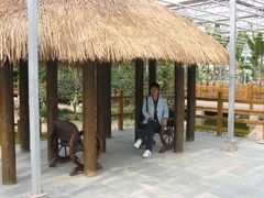 -上海都市菜园