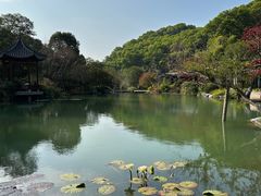 -云溪植物园