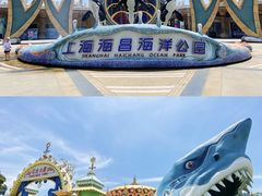 -上海海昌海洋公园