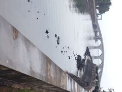 iphone_upload_pic-万绿园