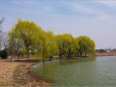 -梁鸿国家湿地公园