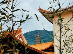 -深圳仙湖植物园