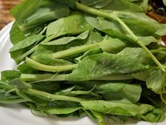 -草原三宝汤锅