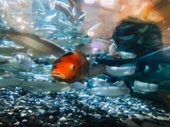 -成都浩海立方海洋公园