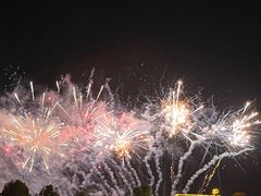 -花博汇(知音花月夜)
