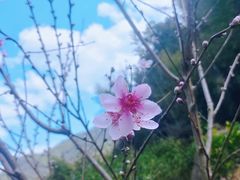 -泽雅景区