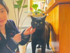 -春风十里咖啡馆