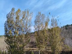 -空心山旅游区
