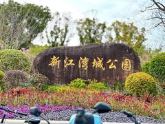 -新江湾城公园