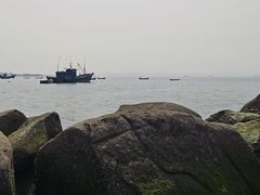 -海源公园