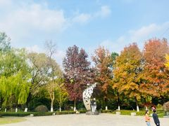 -昆山城市生态森林公园