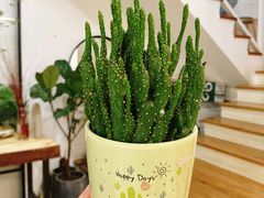 -森野花艺培训·企业团建活动沙龙