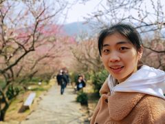-香雪海