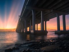 -宝安西湾红树林湿地公园