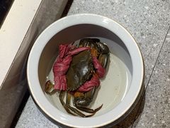 -鸽子侯·家宴·平价海鲜(市图书馆店)