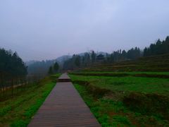 -唐崖土司城遗址