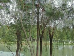 -艾溪湖湿地公园