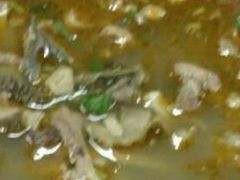 -春雨羊汤店(广开四马路总店)