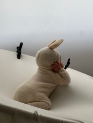 -杭州贝瑞斯美华国际月子中心