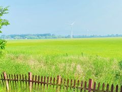 -野鸭湖国家湿地公园