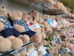 -济州岛泰迪熊博物馆