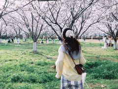 -南京邮电大学(仙林校区)