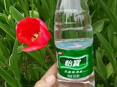 android_upload_pic-福成自助烤肉(华冠天地城关店)