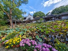 -上海醉白池公园