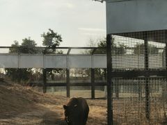 -祥源·阜阳生态乐园