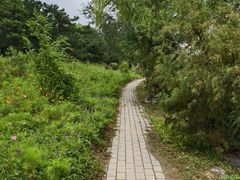 -绿堤公园