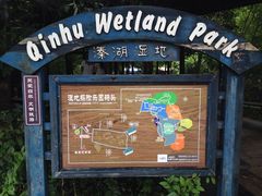 -溱湖国家湿地公园