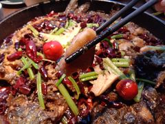 -老板恋上鱼(印象城店)