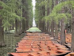 -渌洋湖湿地公园
