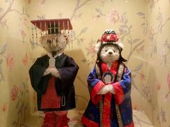 -济州岛泰迪熊博物馆